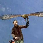 Vendégház Apart Brigitte