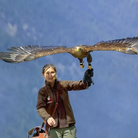 Gasthuis Apart Brigitte