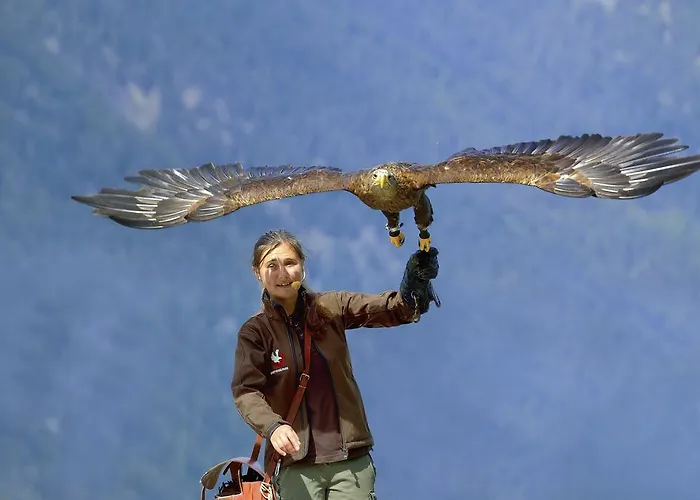 Гостевой дом Apart Brigitte